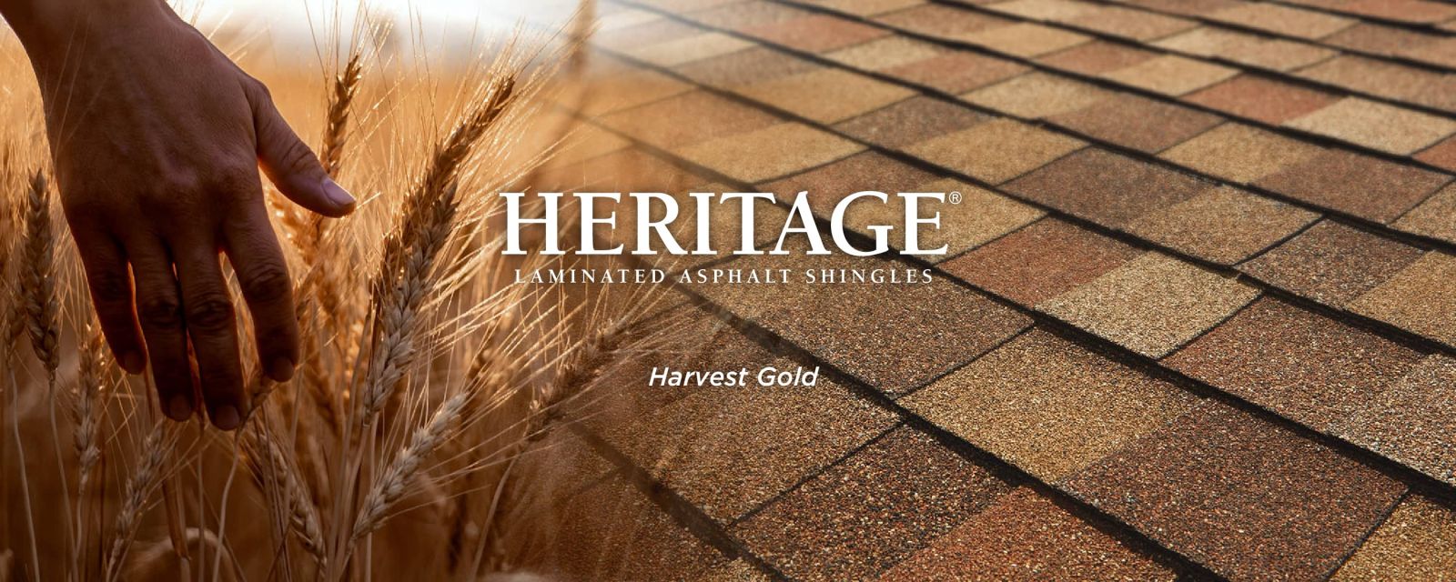 Gold Roofing, Inc. Images