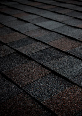 Gold Roofing, Inc. Images