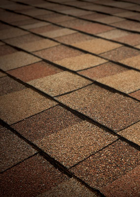 Gold Roofing, Inc. Images