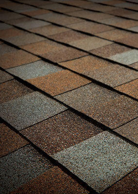 Gold Roofing, Inc. Images
