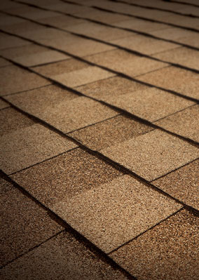 Gold Roofing, Inc. Images