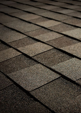 Gold Roofing, Inc. Images