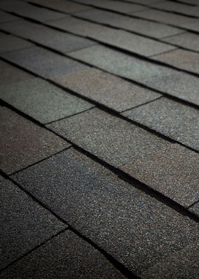 Gold Roofing, Inc. Images